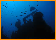 Plong&eacute;e accompagn&eacute;e par un moniteur dipl&ocirc;m&eacute;...- Club de plong&eacute;e A Madreperla - Corse -  Diving Corsica