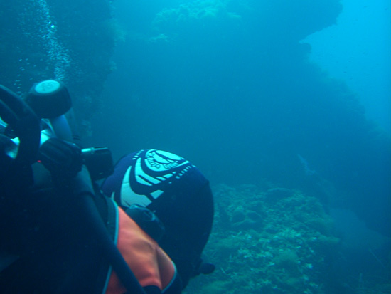 A Madreperla, Club de plong&eacute;e Corse