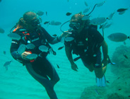 Plongée accompagnée par un moniteur diplômé...- Club de plongée A Madreperla - Corse -  Diving Corsica