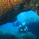 Plongée en Corse 